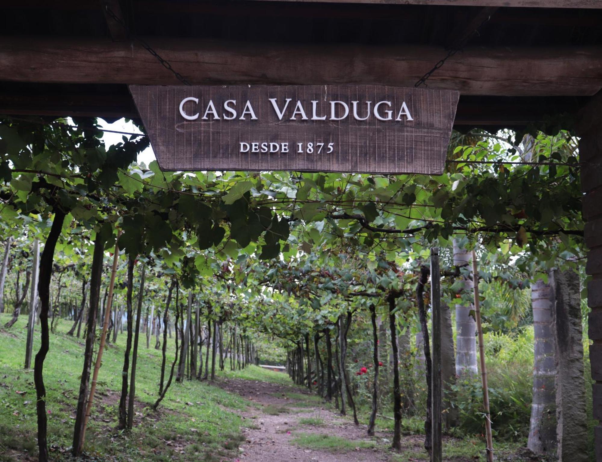 Casa Valduga Pousada Boutique Бенту-Гонсалвис Экстерьер фото